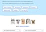 write SEO website copy that converts visitors into buyers